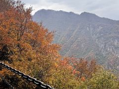 -秦岭终南山世界地质公园翠华山景区
