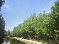 -玲珑塔公园