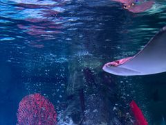 -沈阳海洋探索中心