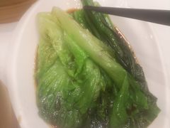 白灼生菜-京粤荟(海王银河科技大厦店)