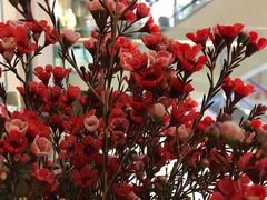 -L'Arome芳芳法国餐厅(仙林金鹰店)