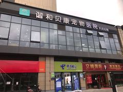-谐和贝康宠物医院24小时·宠保定点(急重症转诊中心)