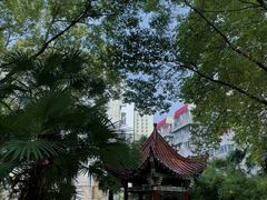 -武汉大学-樱园