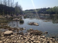 iphone_upload_pic-新江湾城公园