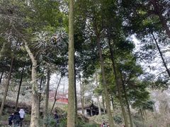 -青城山
