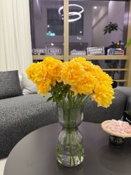 -JNK皮肤管理中心