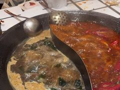 -朱光玉火锅馆(正弘城店)