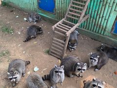 -秦皇岛野生动物园