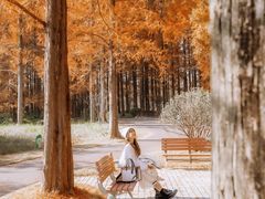 -黄海国家森林公园