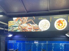 -侨美·唐荔园·40年地道粤菜