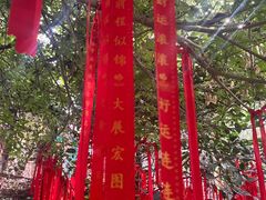 -呀路古热带植物园