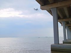 -宝安西湾红树林湿地公园