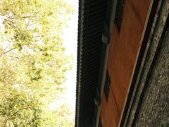 -张明富面皮店(东大街店)