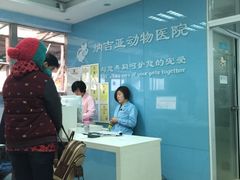 iphone_upload_pic-纳吉亚猫专科动物诊疗中心(蒋宅口分院)