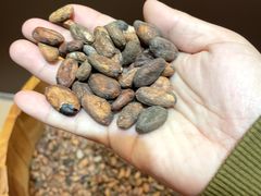 -歌斐颂巧克力小镇