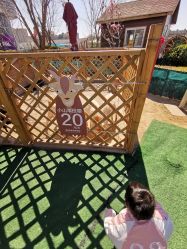 -萌宠亲子动物乐园(槐房万达店)