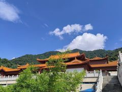 -深圳仙湖植物园