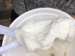 -洪馨椰子