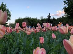 -长春公园(普阳街道)