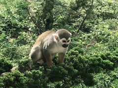 -大连森林动物园