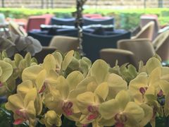 -广州香格里拉酒店