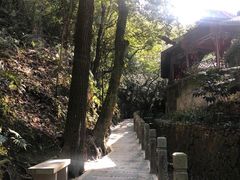 -十八棵（老龙井）御茶园(老龙井店)