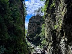 -茅兰沟国家森林公园