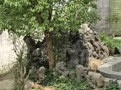 -合肥野生动物园