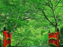 -三千院