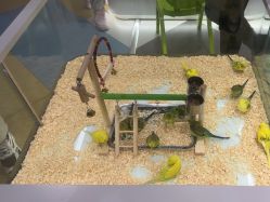 -meland亲子乐园•派对•研学(苏州悠方购物中心店)