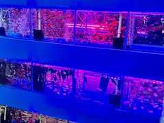 -三旗百汇商品城