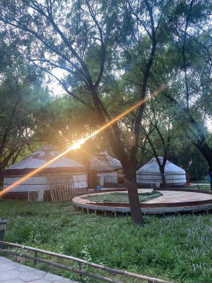 蒙古大营(朝阳公园店)-"[薄荷]环境:美!美!美!夜晚更美!骆.