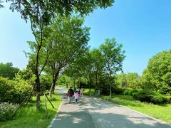 -尚贤河湿地
