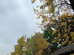 -庭院小酌(瑞莲街店)