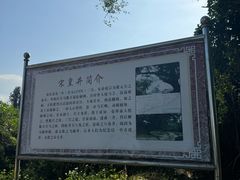 -硇洲岛旅游区
