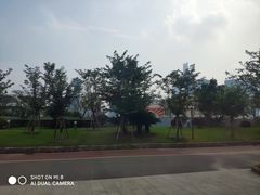 -秦皇岛路游船码头