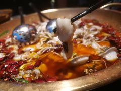 沸腾鱼片-蜀都丰 正宗水煮鱼(建德天城店)