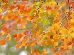 -苏州河梦清园环保主题公园