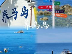 -养马岛旅游度假区