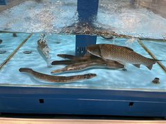 -麦德龙(浦东店)