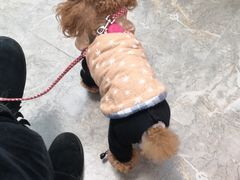 -郑远元专业修脚房(昌里东路店)