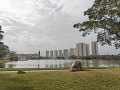 -美的鹭湖森林度假区