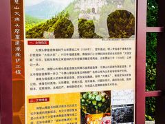 -佛慧山
