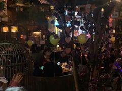 -胡桃里音乐酒馆(石家庄店)