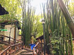 -竹海听涛生态山庄