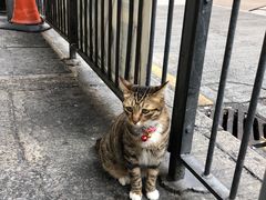 -花园街