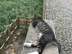 -西园寺素食(西园弄戒幢律寺店)