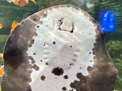-福州罗源湾海洋世界旅游区