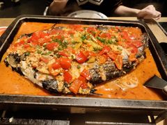 湄公鱼-炉鱼(亲橙里店)