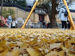 景点-无锡惠山寺